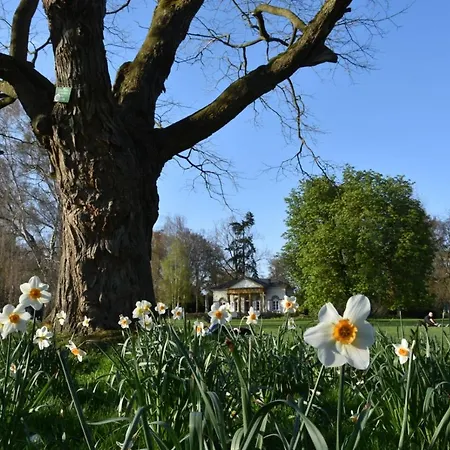 Διαμέρισμα - Business - *