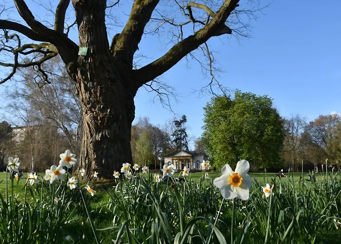 Apartment - Business - *